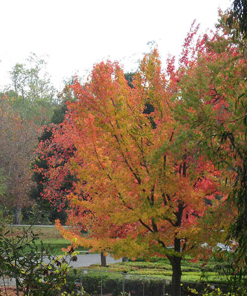 Parks and Trails