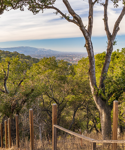 Parks and Trails