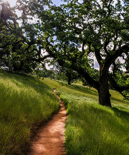 Parks and Trails