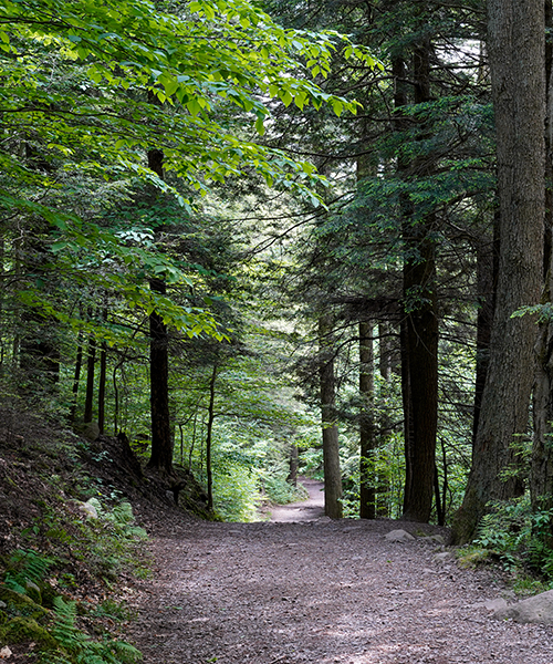 Parks and Trails