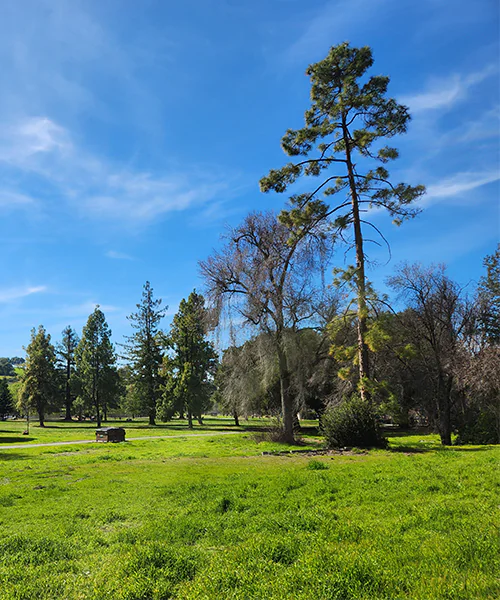Parks and Trails